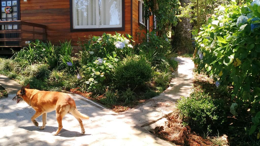 Sobrado Estilo Alemao Villa Canela Bagian luar foto